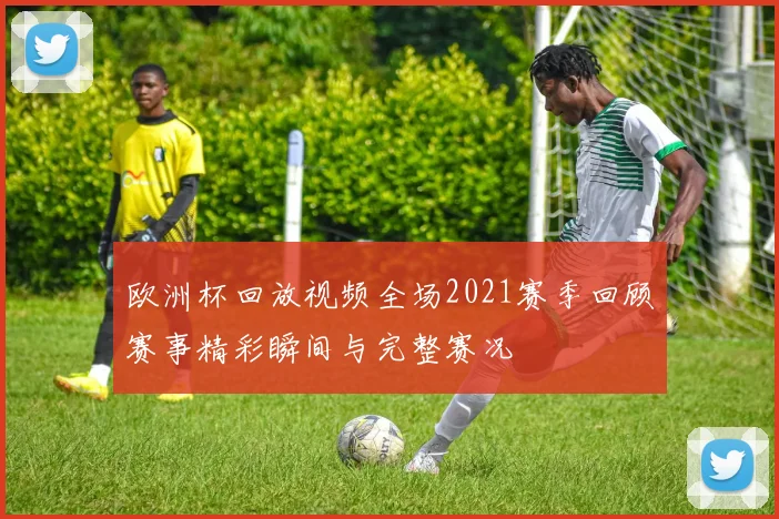 欧洲杯回放视频全场2021赛季回顾赛事精彩瞬间与完整赛况